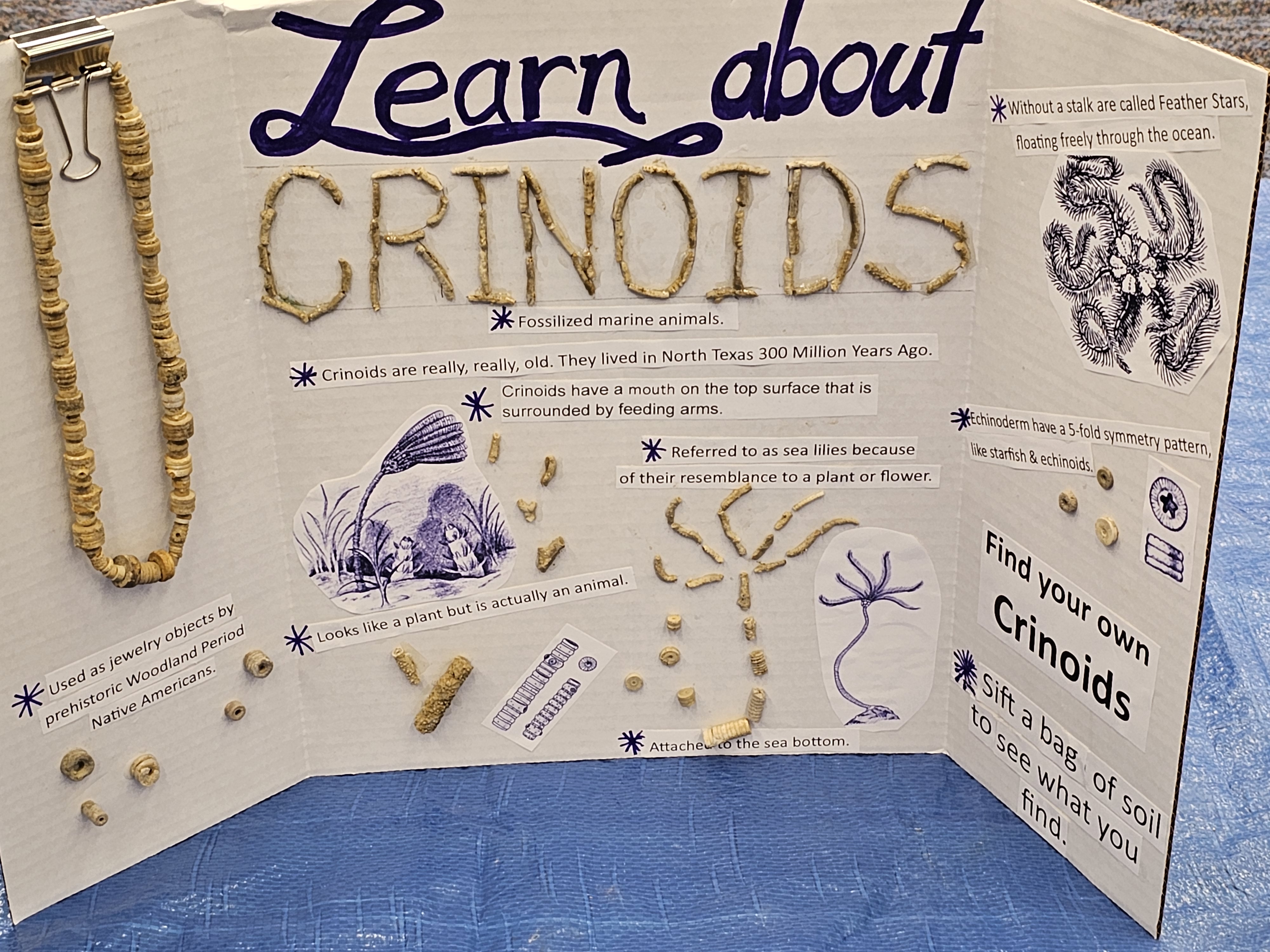 Educational outreach presentation with rocks, minerals, fossils, and hands-on learning